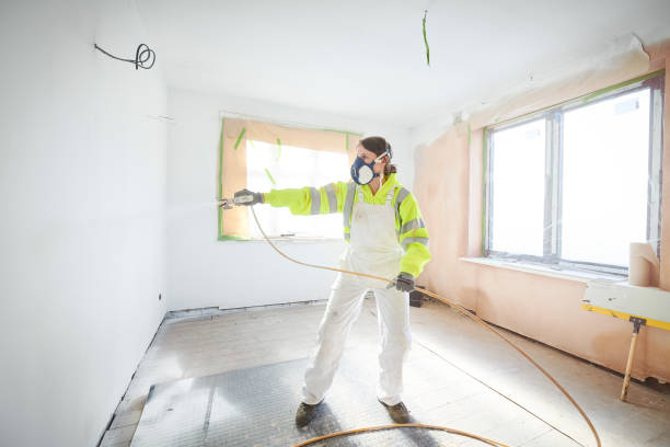 Best Mold Odor Removal Services  in Cortland, OH