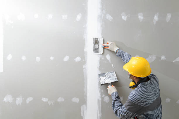 Best Airborne Mold Testing  in Cortland, OH