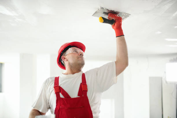 Best Mold-Related Health Consultation  in Cortland, OH