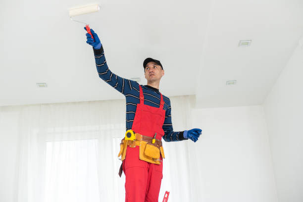 Best Water Damage & Mold Remediation  in Cortland, OH