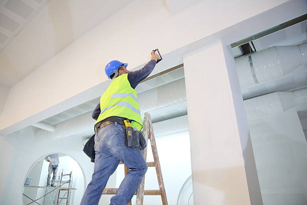 Mold Odor Removal Services in Cortland, OH